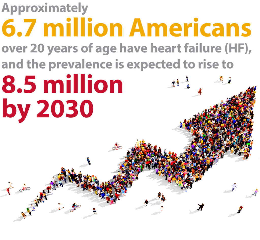 Approximately 6.7 million Americans over 20 years of age have heart failure (HF), and the prevalence is expected to rise to 8.5 million by 2030